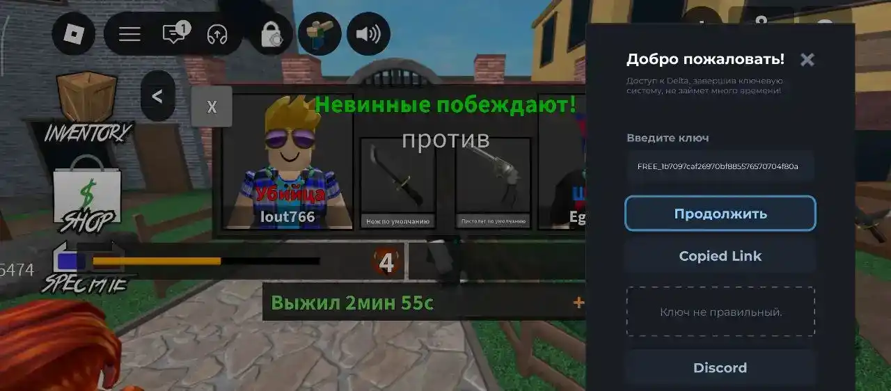 Ключ вставлен в поле активации Дельты и кнопка «Продолжить»